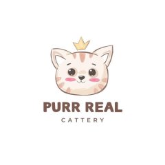 Purr Real Cattery