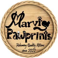 Marvi's Pawprints